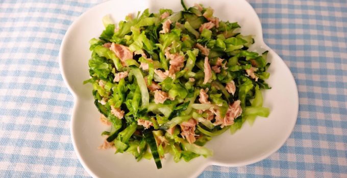 baitsaa-salat-tosgui
